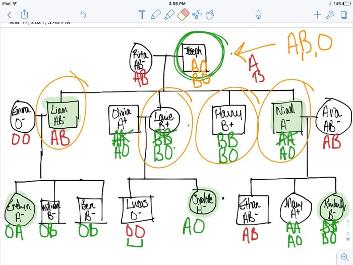 Blood type mystery answer key