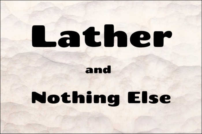 Lather and nothing else pdf