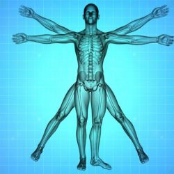 Crash course anatomy and physiology worksheets