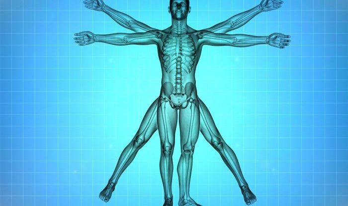 Crash course anatomy and physiology worksheets