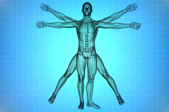 Crash course anatomy and physiology worksheets